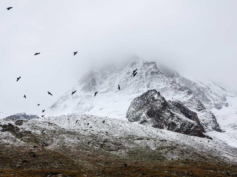 sudoku windows app screenshot 4